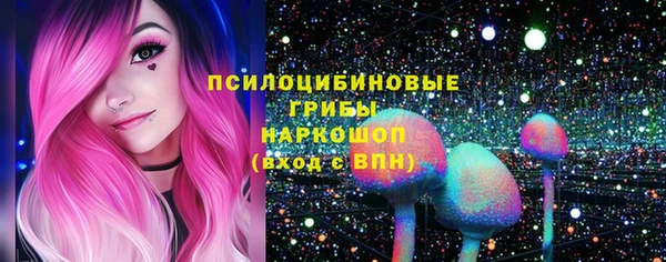 ГАЛЛЮЦИНОГЕННЫЕ ГРИБЫ Кулебаки