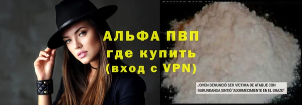 ГАЛЛЮЦИНОГЕННЫЕ ГРИБЫ Кулебаки