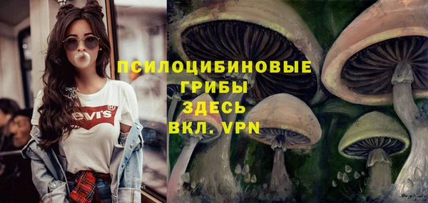 ГАЛЛЮЦИНОГЕННЫЕ ГРИБЫ Кулебаки