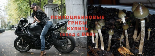 ГАЛЛЮЦИНОГЕННЫЕ ГРИБЫ Кулебаки