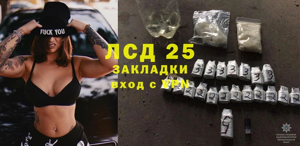 ГАЛЛЮЦИНОГЕННЫЕ ГРИБЫ Кулебаки
